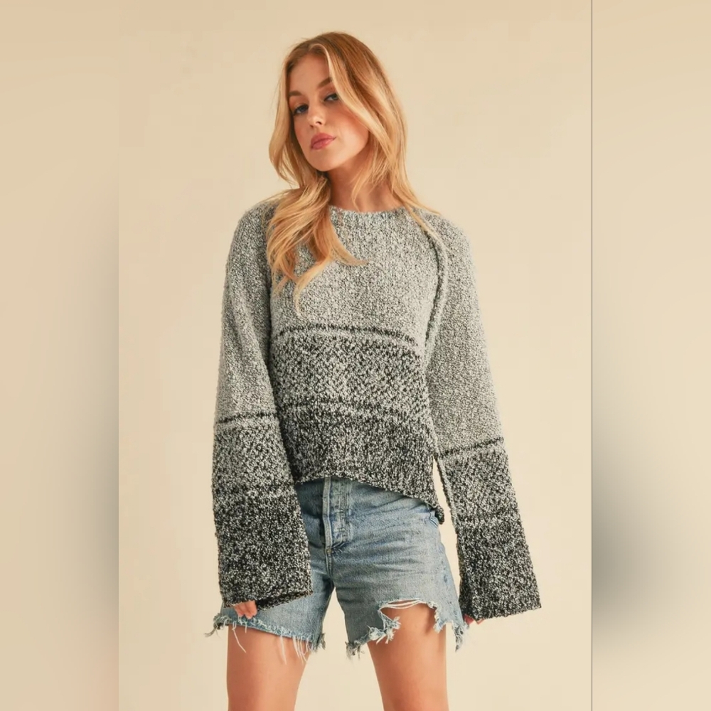 Fraya Ombre Sweater NWT